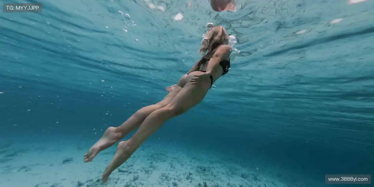 一键订阅，精彩不断！🔔🏐